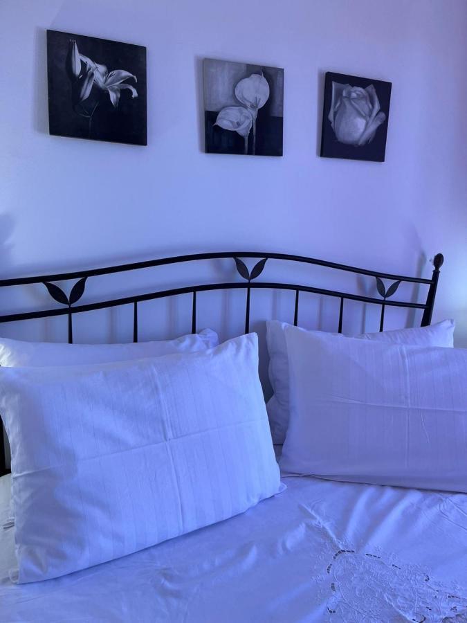 Apartman Gorana With Swimming Pool Jelsa  Exterior foto