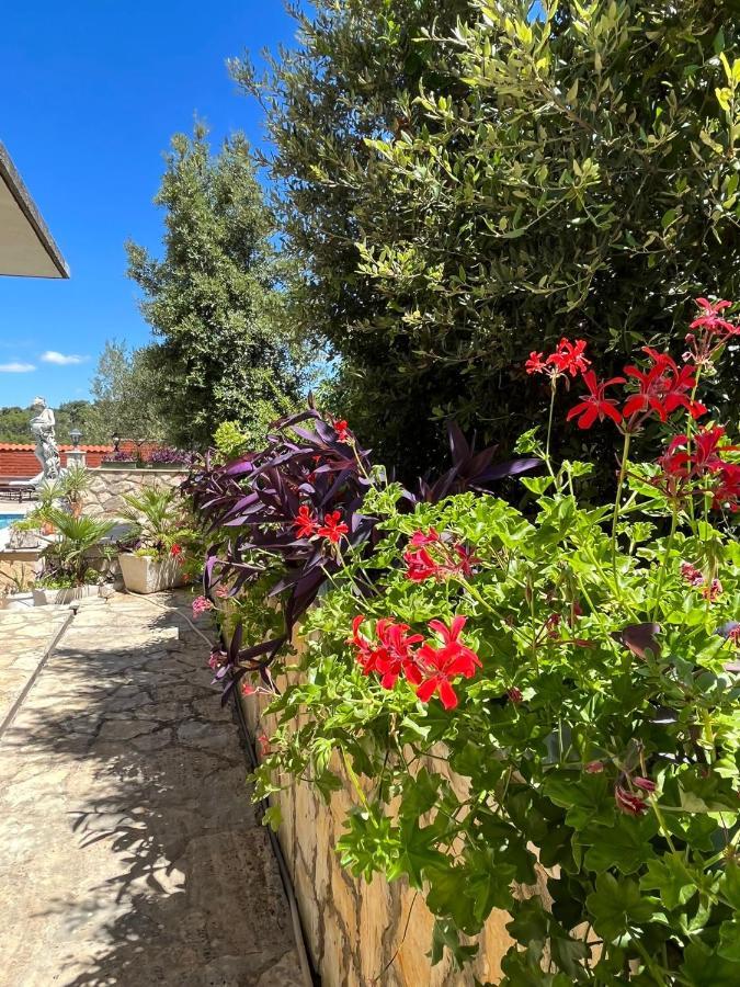 Apartman Gorana With Swimming Pool Jelsa  Exterior foto