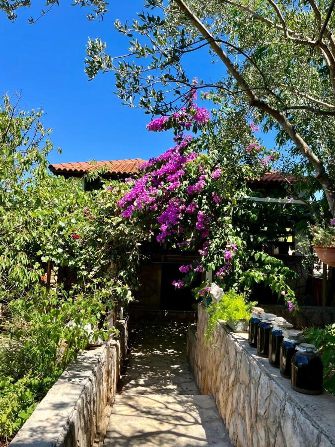 Apartman Gorana With Swimming Pool Jelsa  Exterior foto