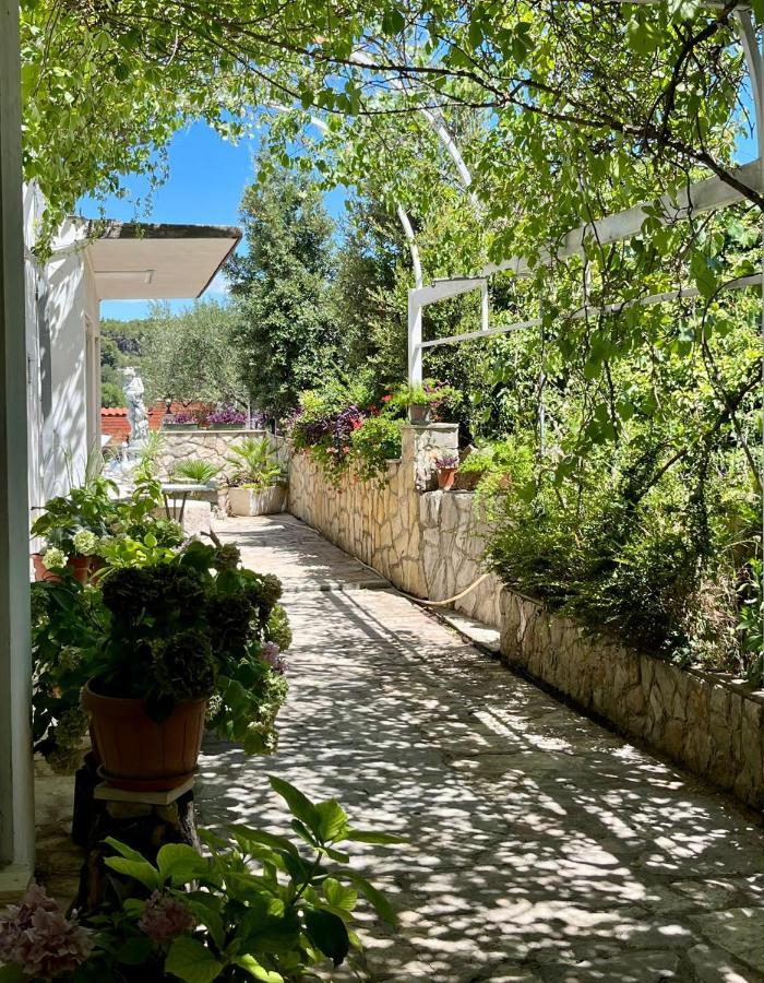 Apartman Gorana With Swimming Pool Jelsa  Exterior foto